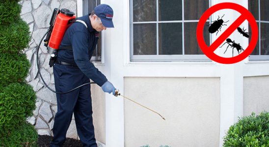 Kovancılar Karınca İlaçlama böcek ilaçlama ve haşere kontrolü — ilaclama-tr.com